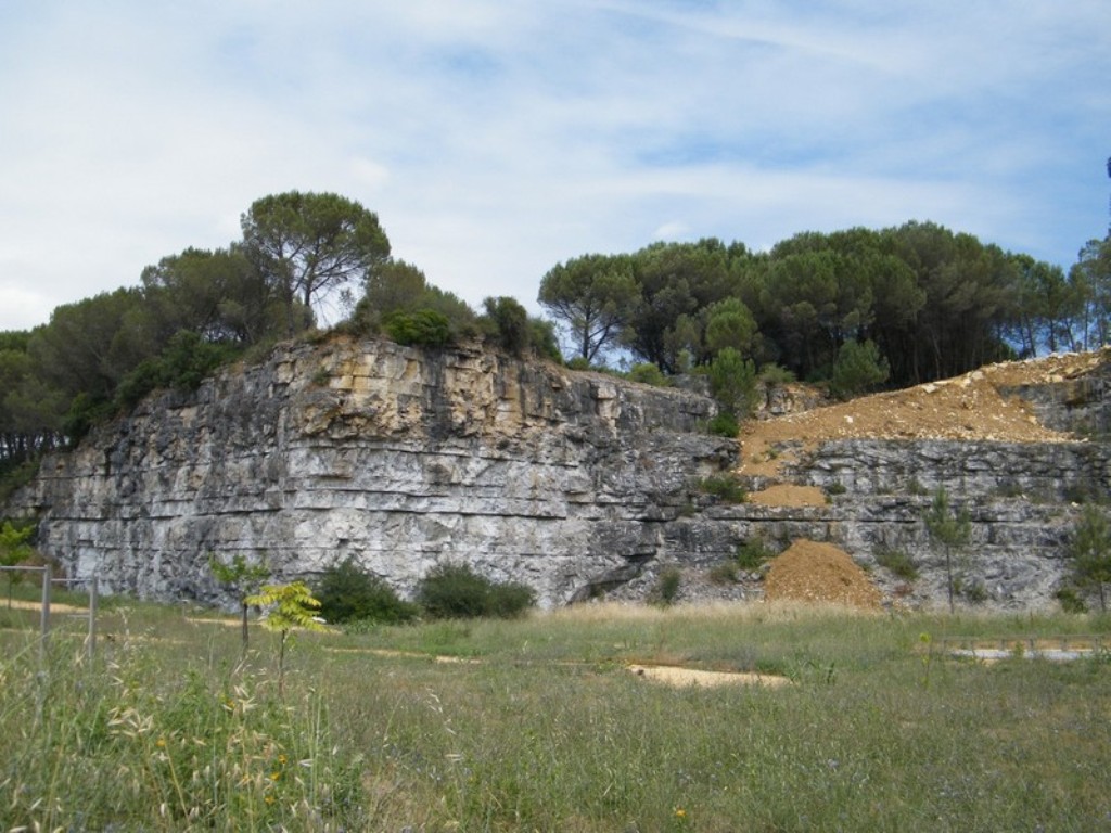 Cantera de Piedra Caliza